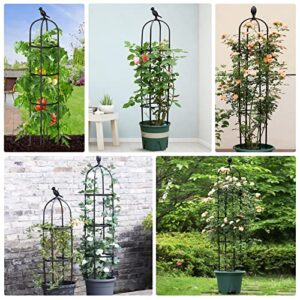 MYard 2 Pack Garden Obelisk Trellis, 6FT Tall Rustproof Climbing Plant Support, Garden Tower Trellis for Potted Plants Flowers Vegetable Vine Indoor Outdoor