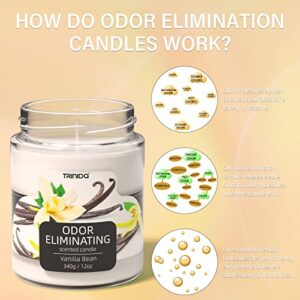 TRINIDa Vanilla Bean Odor Eliminating Candles for Home Scented, Eliminates 99% of Pet, Smoke, Food and Other Smell Quickly, Highly Fragranced Scented Candle, Premium Soy Candle Gift Set for Women