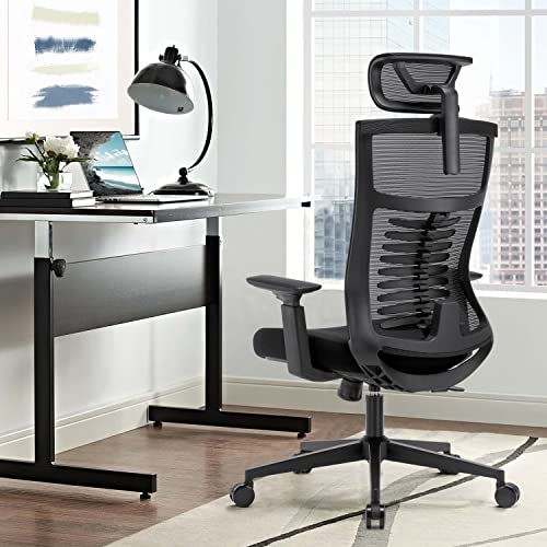 Ergonomic Home Task Chair,Adjustable Big Home Office Chairs with Lumbar Support,Breathable Fishnet Mesh Backrest Computer Chair with Adjust Headrest,Tall ,Black