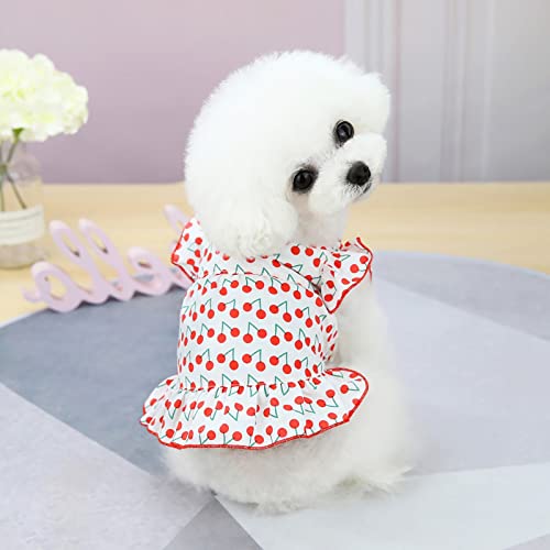 Little Dog Outfits Girl Pet Dresses Spring and Summer Pet Clothes Spring Cute Pet Supplies Cotton Dresses Thin Skirt