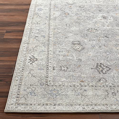 Becki Owens x Surya Davina Damask Area Rug , 7'10" x 10', Light Grey