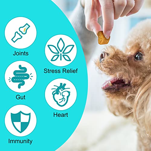CAPTBDZW Calming Chews for Dogs, Dog Calming Chews - Anxiety Relief Treats, Pet Naturals Calming Chews, Helps with Dog Anxiety, Separation, Barking, Stress Relief, with Valerian Root and Hemp Oil.