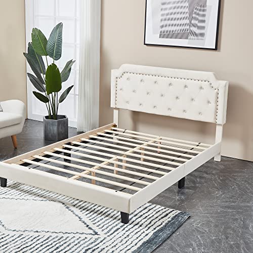 SunsGrove Queen Bed Frame, Velvet Upholstered Platform Bed with Curved Button Tufted Headboard with Nailhead Trim, Solid Wooden Slats Support, No Box Spring Needed, Beige