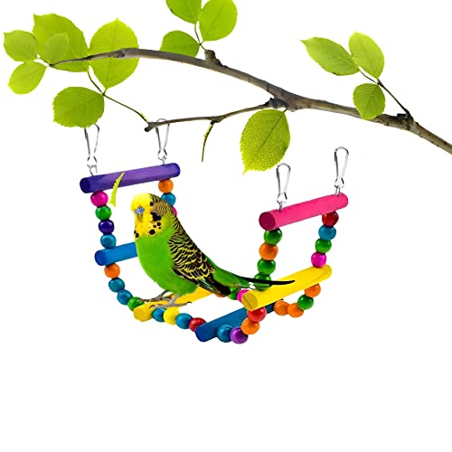 Holyfire Bird Toys 11PCS, Parakeet Toys Climbing Ladder Bird Swing Hanging Chewing Colorful Toys for Budgie, Cockatiel, Conure, Cockatoo, Love Birds, Finches, Mynah