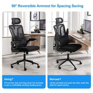 Height-Adjustable Ergonomic Desk Chair Office Chair with Lumbar Support Breathable Mesh Computer Chair Rolling Chair with Adjustable Headrest and Flip-up Armrests for Home and Office (Black)