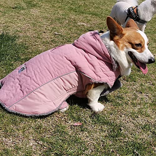 Small Dogs Reflective Windproof Pet Coat Winter Warm Dog Coat for Small Medium and Large Pet Clothes for Medium Dogs Girl