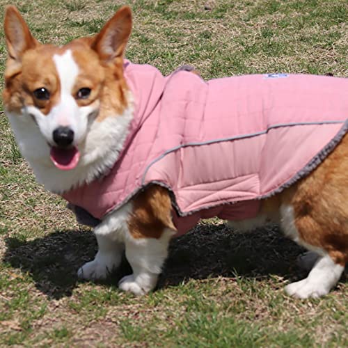 Small Dogs Reflective Windproof Pet Coat Winter Warm Dog Coat for Small Medium and Large Pet Clothes for Medium Dogs Girl