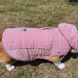 Small Dogs Reflective Windproof Pet Coat Winter Warm Dog Coat for Small Medium and Large Pet Clothes for Medium Dogs Girl