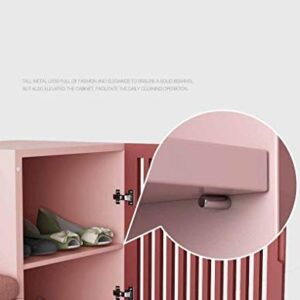 N/A Fashion Shoe Cabinets Minimalist Multi-Function Shoe Changing Stool Porch Partition Hall (Color : Black)