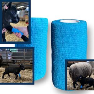 Bandage Set Vet Wrap Tape Light Blue, Bandages for Dogs Paws, Multifunctional & Self Adhesive