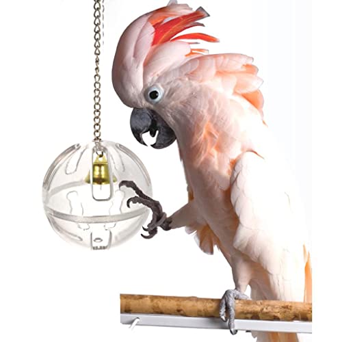 PETSOLA Parrot Foraging Ball Acrylic Growth Training Feeder Toys for Parrot Budgie Parakeet Cockatiel Etc, Type 1