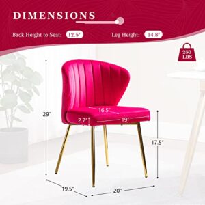 HULALA HOME Velvet Dining Chair, Cute Armless Accent Chair Living Room Chair with Golden Legs, Mid Century Modern Upholstered Side Chair for Kitchen Vanity, Fuchsia