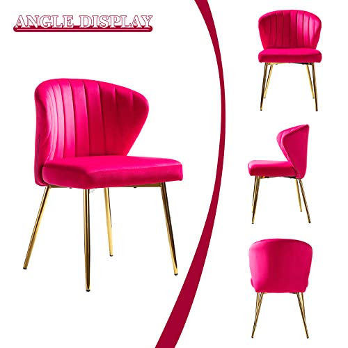 HULALA HOME Velvet Dining Chair, Cute Armless Accent Chair Living Room Chair with Golden Legs, Mid Century Modern Upholstered Side Chair for Kitchen Vanity, Fuchsia