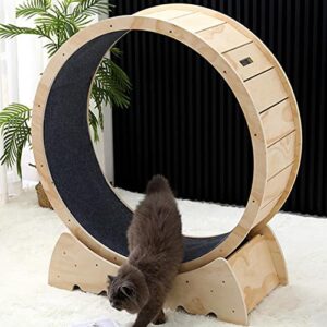 Generic Pet Cats Running Wheel Indoor Treadmill Climbing Interactive Toys Exercise Scratcher Protect Furniture Wheel for Workout Game , MultilayerBoard106cm