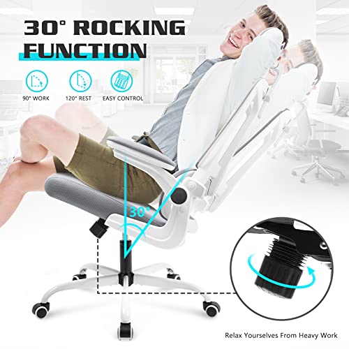 Soontrans Grey Ergonomic Office Chair with Adjustable Arms, Mesh Office Chair with Lumbar Support, 2D Headrest Office Desk Chair, Rocking Ergonomic Chair, Swivel Computer Ergo Chair for Home Office