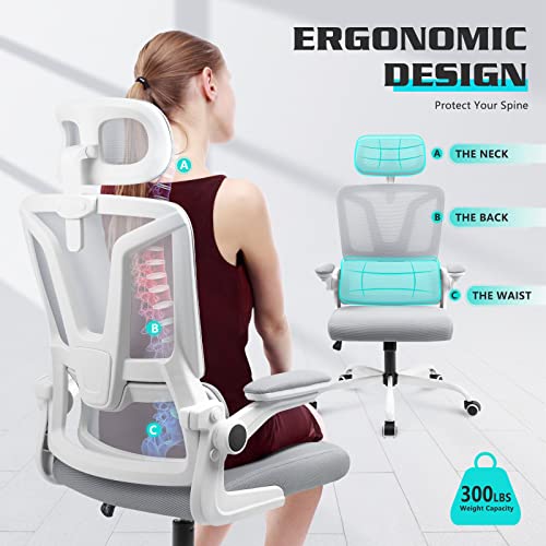 Soontrans Grey Ergonomic Office Chair with Adjustable Arms, Mesh Office Chair with Lumbar Support, 2D Headrest Office Desk Chair, Rocking Ergonomic Chair, Swivel Computer Ergo Chair for Home Office