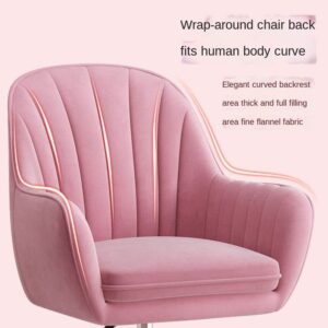 ZLXDP Chair Home Backrest Comfortable Long-Sitting Office Chair College Student Girl Dormitory Study Chair Makeup Chair (Color : D, Size : 1)