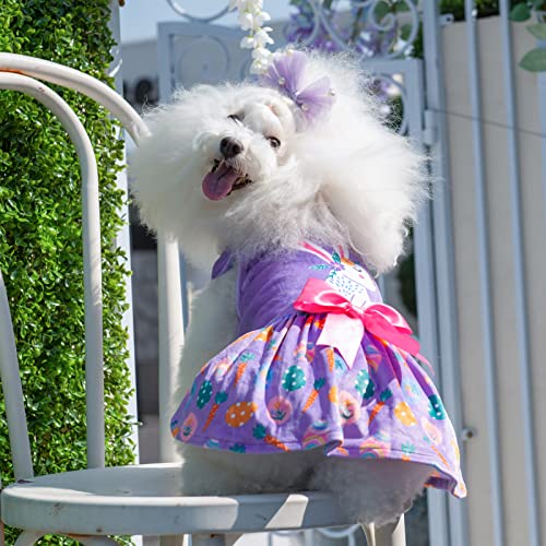 CuteBone White Rabbit Dog Easter Dress Velvet for Small Dogs Girl Eggs Skirt Puppy Purple Dresses Dog Clothes CVA19M-D