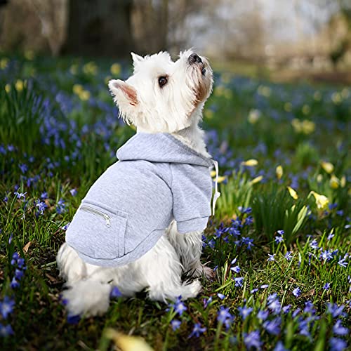 Clothes for Dogs Fleece Pet Autumn and Winter Cute Warm Zipper Pocket Sweatshirt Gray Hoodies Pet Clothes
