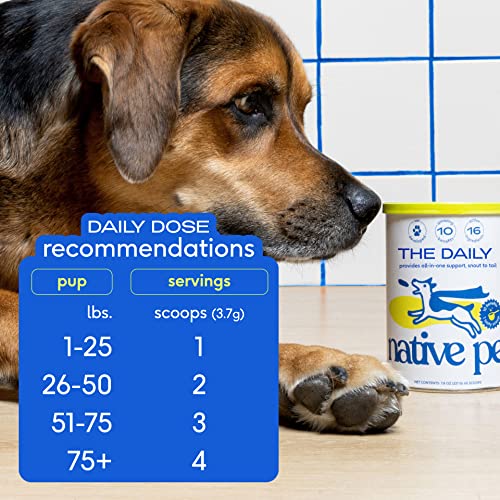 Native Pet - The Daily Dog Supplement - 10 in 1 Multivitamin For Dogs - Tasty Scoop With Dog Vitamins & Supplements - Supplement for Mobility, Energy, Gut, Skin & Coat - 16 Active Ingredients - 3.9 Oz
