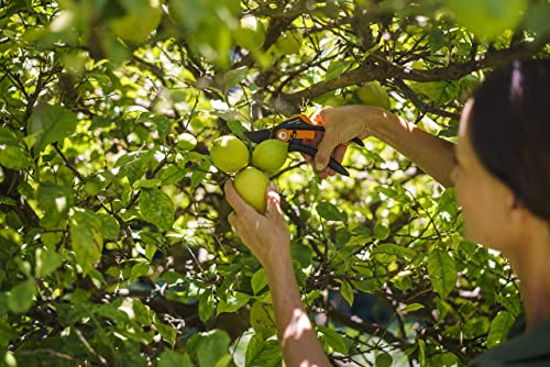 Fiskars SmartFit Pruner Bypass P68, Cutting Diameter Adjustable Up to 5/8" Cut, Steel Blades with Non-stick Coating/Fiberglass Reinforced Plastic Handles, Length:8 inches, Black/Orange, 391171-4001