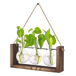 dahey planter propagation with wooden stand, desktop plant terrarium for hydroponic planter station wall hanging mounted propagation vase home garden office decoration plant lover gifts, 3 vase
