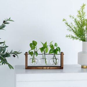 Dahey Planter Propagation with Wooden Stand, Desktop Plant Terrarium for Hydroponic Planter Station Wall Hanging Mounted Propagation Vase Home Garden Office Decoration Plant Lover Gifts, 3 Vase