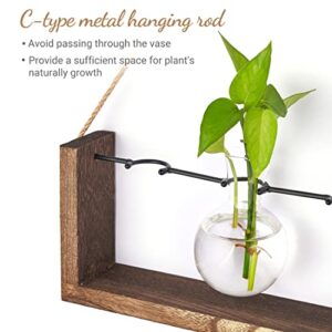 Dahey Planter Propagation with Wooden Stand, Desktop Plant Terrarium for Hydroponic Planter Station Wall Hanging Mounted Propagation Vase Home Garden Office Decoration Plant Lover Gifts, 3 Vase