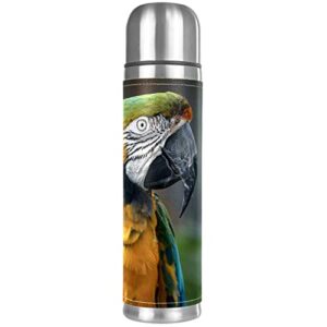 animal parrot vacuum insulated water bottle stainless steel thermos flask travel mug coffee cup double walled 17 oz