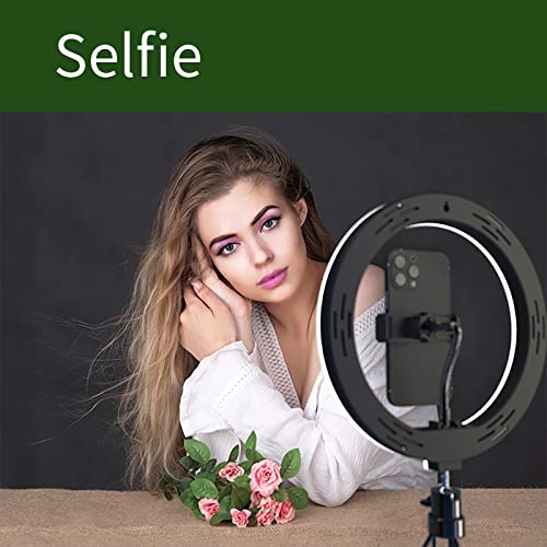 imuviy Selfie Ring Light Set with Tripod Stand and Adjustable Cell Phone Holder for Live Stream or Diammable Desk Makeup Ring Light Kit Mini Led Camera Ringlight for YouTube Videos Photography