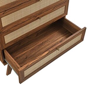 Modway Soma 5 Chest of Drawers in Walnut, 31 x 18.5 x 44.5