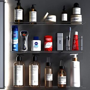 Clear Acrylic Wall Shelves,Small Floating Adhesive Shelf That Can Be Installed in Bathroom, Living Room, Kitchen, Shower Room,Used to Display,Organize and Store Perfume, Cosmetics