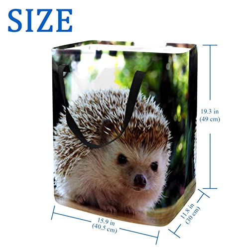 Cute Hedgehog Print Collapsible Laundry Hamper, 60L Waterproof Laundry Baskets Washing Bin Clothes Toys Storage for Dorm Bathroom Bedroom