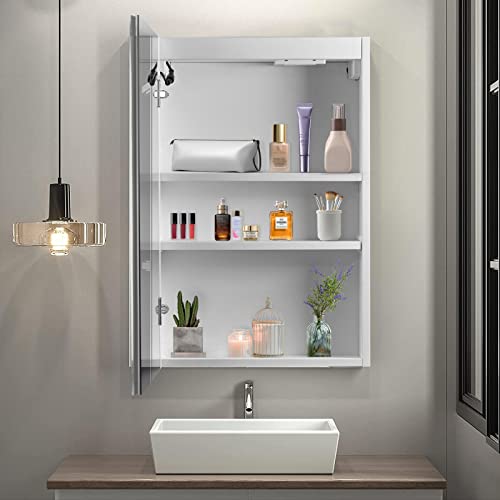 FCH 20 Inch Bathroom Wall Cabinet with Dimmable LED Mirror, Anti-Fog LED Lighted Mirror Medicine Cabinet Over The Toilet Storage with 2 Outlets 2 USB Ports Inside and Outside Mirror Single Door