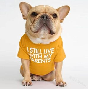 i still live with my parents printed dog t shirt, funny pet dog vest clothes, breathable cat shirts (medium)