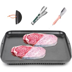 Defrosting Tray for Frozen Meat Defrosting Tray -Thawing Tray for Frozen Meat Thawing Board Defrosting Board for Frozen Meat Thawing Tray for Frozen Meat Defroster Tray Blue Spatula Defrosting Plate