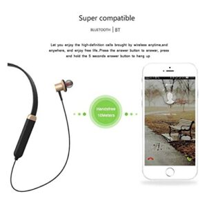 TBIIEXFL Earbuds Magnetic Headset Sport Earphones for Running IPX5 Waterproof Headphones Fidelity Stereo Sound and Noise Cancelling Mic (Color : E)