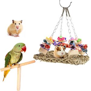 Seagrass Bird Mat, Seagrass Bird Swing Bright Colors Keep Birds Bored