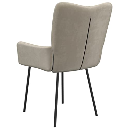 vidaXL Modern Velvet Dining Chairs, Set of 2, Light Gray, Comfortable Foam Padding, Durable Metal and Plywood Construction, Easy Clean