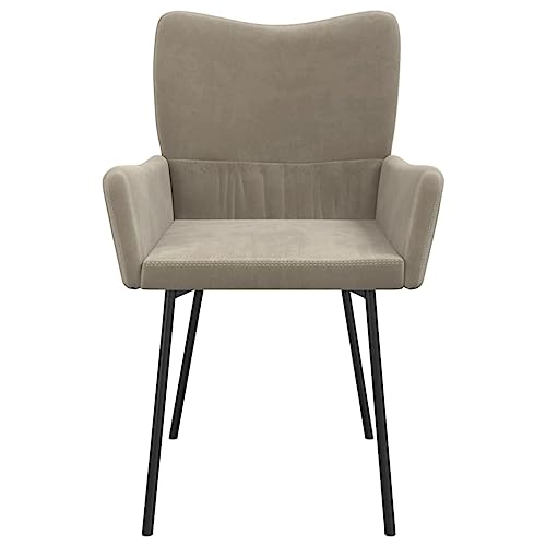 vidaXL Modern Velvet Dining Chairs, Set of 2, Light Gray, Comfortable Foam Padding, Durable Metal and Plywood Construction, Easy Clean