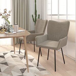 vidaXL Modern Velvet Dining Chairs, Set of 2, Light Gray, Comfortable Foam Padding, Durable Metal and Plywood Construction, Easy Clean