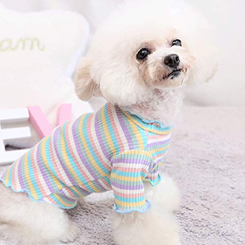 Medium Female Dog Sweater Puppy Pajamas Winter T-Shirt Shirt Cat Pet Rainbow Cute Vest Pet Clothes Doggy Clothes for Girls