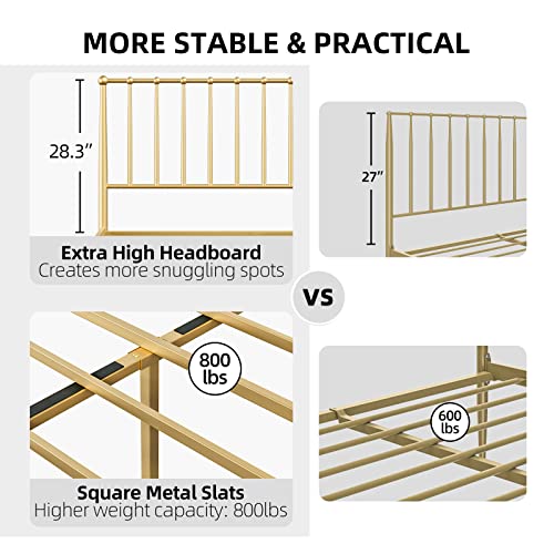 Amyove Queen Bed Frame Metal Platform Bed with Headboard, 14 Inches Metal Mattress Foundation for Storage, No Box Spring Needed, Easy Assembly, Modern, Gold