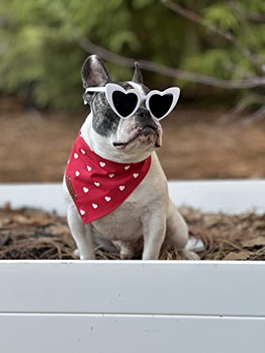 Sammy’s Sew Shop Red Heart Valentine's Day Dog Bandana – Red and White Heart Patterned Pet Bandana, Tie Back, Premium Cotton Fabric, Unique Design, Handmade in The USA, (Large)