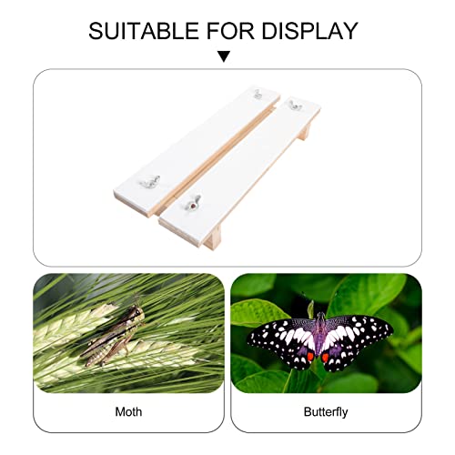 SEWACC Decorating Tools Specimen Display Board Butterflies Mounting Spreading Board Display Case Experiment Tool for Specimen Display Collages Wall Mirrors Decorative
