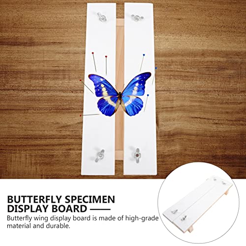 SEWACC Decorating Tools Specimen Display Board Butterflies Mounting Spreading Board Display Case Experiment Tool for Specimen Display Collages Wall Mirrors Decorative