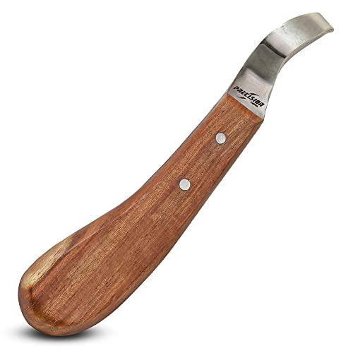 PRECISION CANADA Super Sharp Loop Blade Hoof Knife for Right Handed of Japanese Stainless Steel with Smooth Wooden Handle