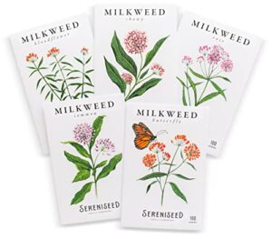 sereniseed milkweed seed collection (5-pack)