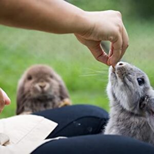 CZ Grain Premium Rabbit Pellets for Feeding - All Natural Adult Rabbit Pellets (5 Pounds)