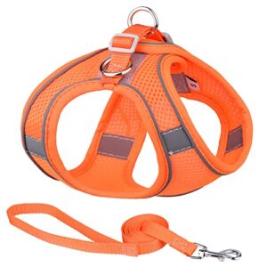soft mesh dog harness and leash set for walking summer step in vest harness reflective bands adjustable no pull pet supplies for small dogs and house cats belly bands for dogs with snaps (orange, xs)